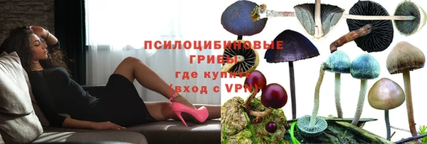 таблы Заводоуковск