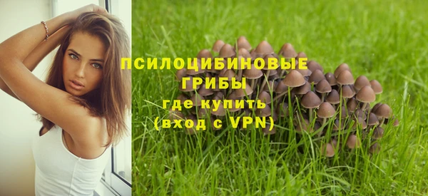 мескалин Заволжск