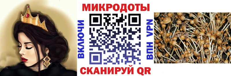 Псилоцибиновые грибы прущие грибы  закладка  Карабулак 
