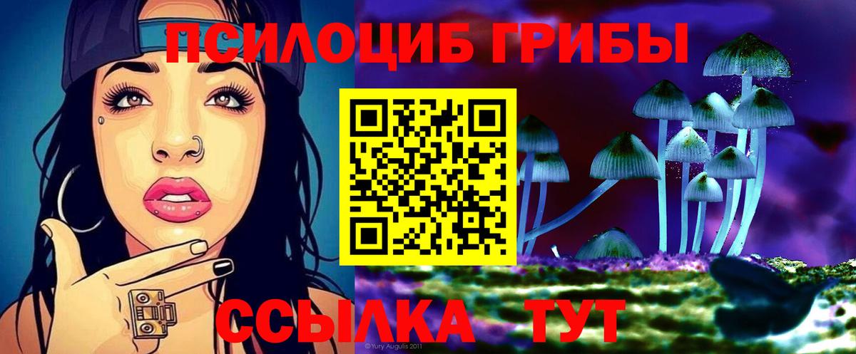 Галлюциногенные грибы Psilocybe  Вход с VPN  Карабулак 