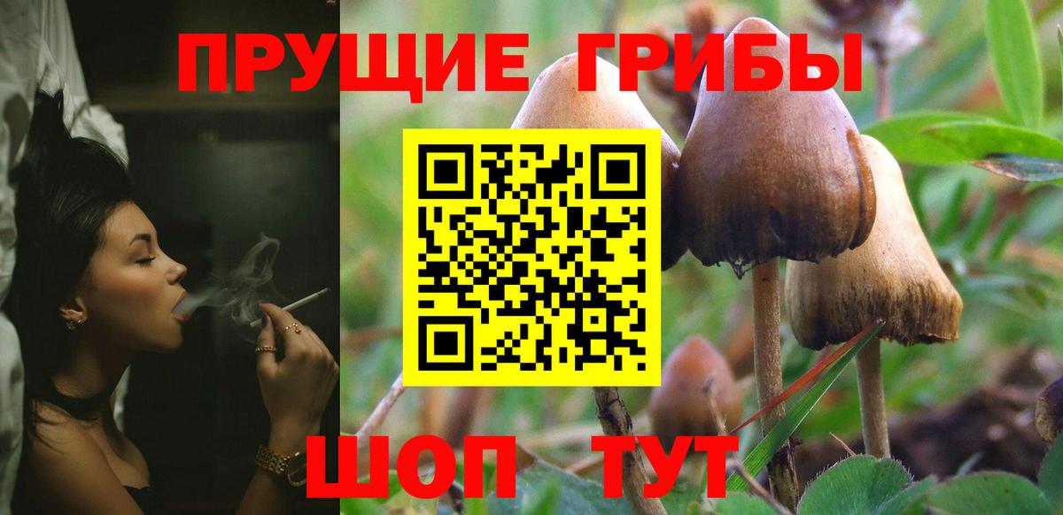 Псилоцибиновые грибы MAGIC MUSHROOMS Карабулак